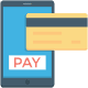 Fast Payments
